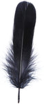 Flirty Black Feather