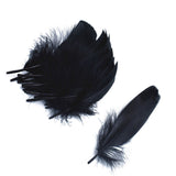 Flirty Black Feather